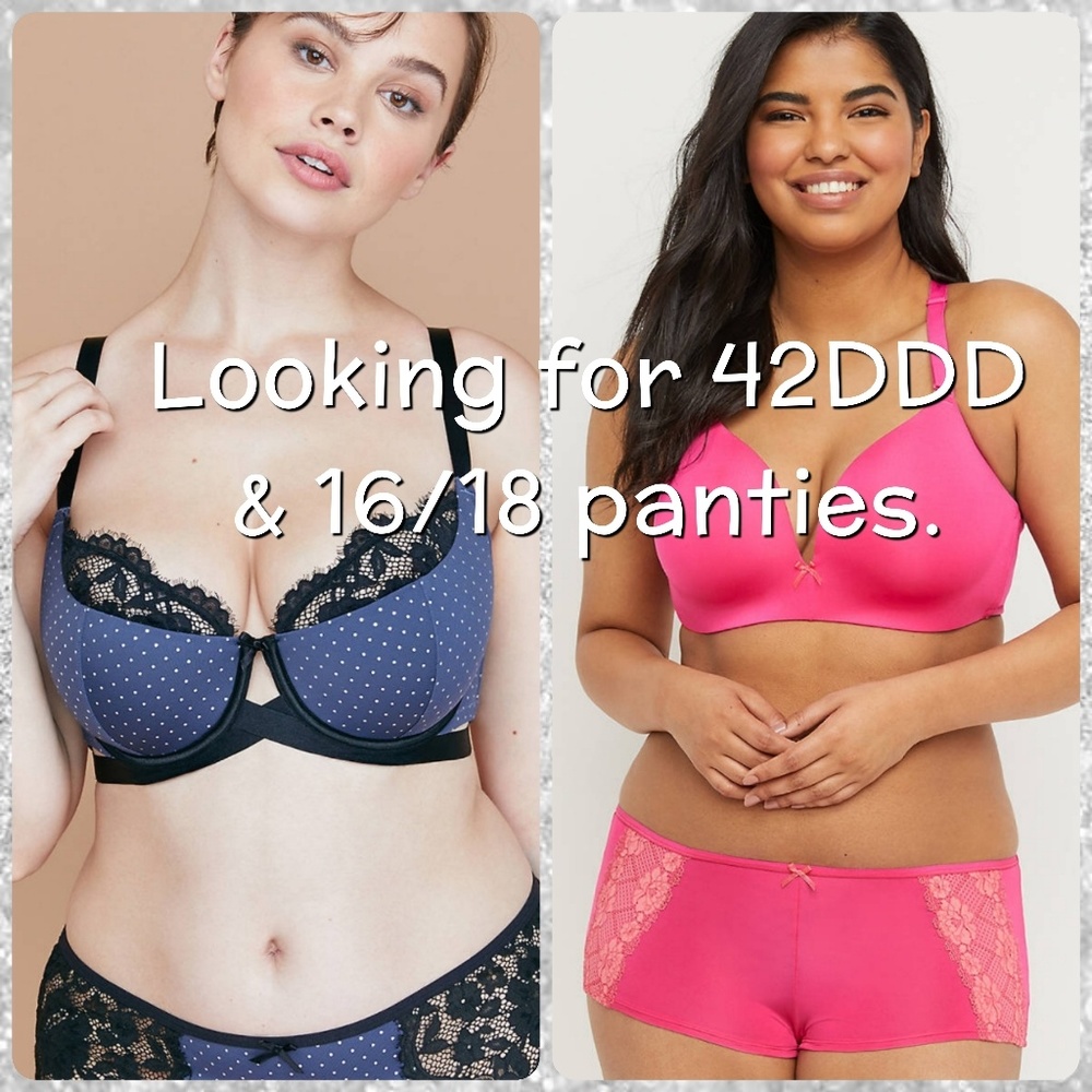 LOOKING FOR 42DDD /42F BRA & PANTIES